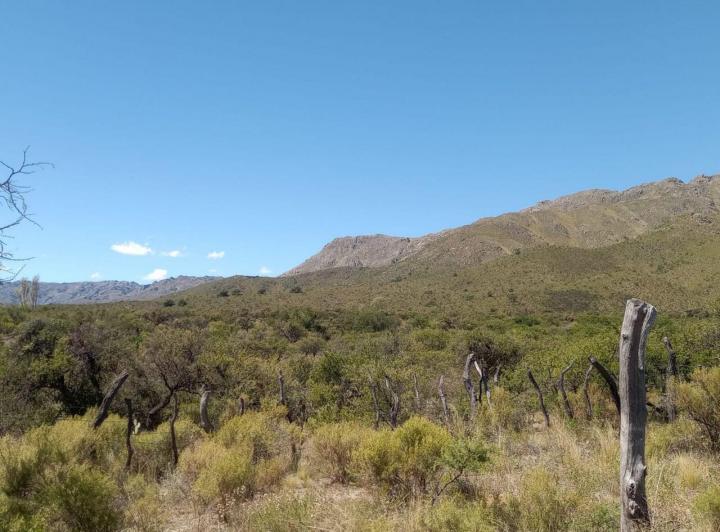 Terreno · 10000m²