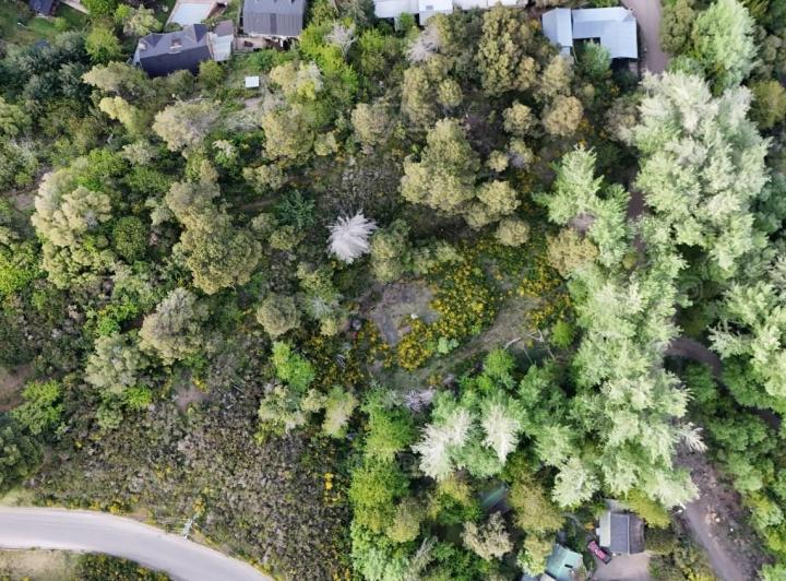 Terreno · 1217m²