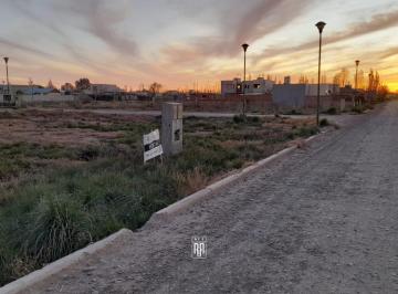Terreno · 450m² · Terreno 450 m² en Venta - B° Judiciales - Fernández Oro Todos Los Servicios