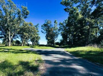 Terreno · 1790m² · Terreno en Los Pinares C. Club Al Fondo Lindera a Zona Rural 1787 m Etapa 1!etpa