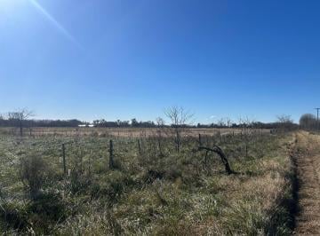 Terreno · 10000m² · Venta Terreno en Villa Espil!