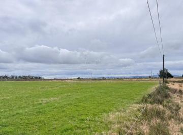 Foto1 · Campo 100 Has 100 % Agricola