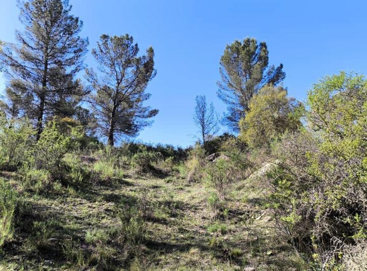Terreno · 733m²