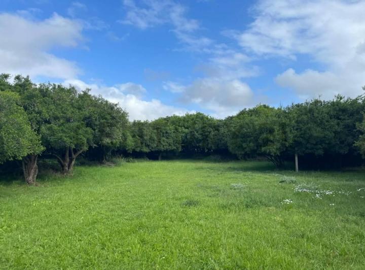 Terreno · 8000m²