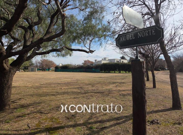 Terreno · 1000m²