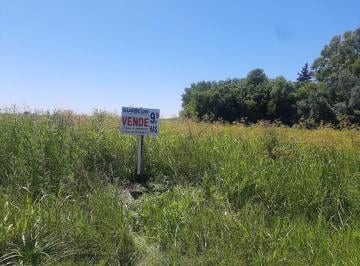 Campo · 1000000m² · Fiambala 1700