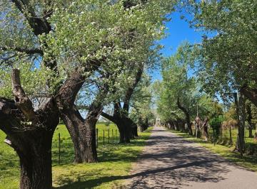 Terreno , Pilar · Lotes en Venta Golf Larena Country Club