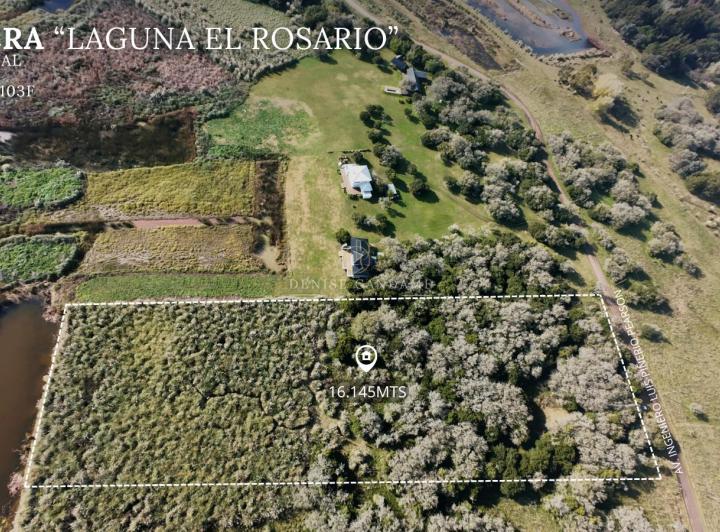 Terreno · 16000m²