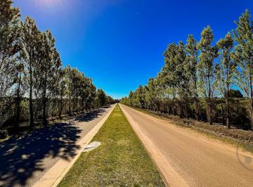 Terreno · 915m² · Venta | Lote Las Prunas | 915 m