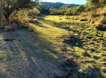 imagen1 · Venta 1.400ha Derechos Posesorios en Panaholma.