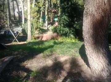 Terreno · 450m² · Terreno a La Venta en 34 Entre Miramar y Necochea - Mar Azul