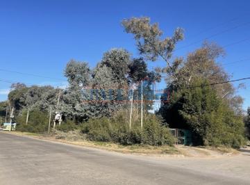 Terreno · 2977m² · Alquiler Lote Multiples Usos Cardales Exaltacion de La Cruz