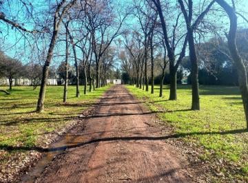 Terreno · 24335m² · Venta Fraccion Comercial/desarrollo Pilar del Este