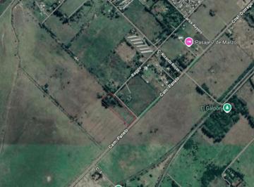 Terreno · 30600m² · Terreno en Venta | Raggio | Cañuelas