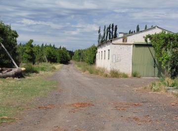 Campo , Sargento Vidal · Chacra de 80 Ha en Venta en San Isidro, Cercana a Sargento Vidal