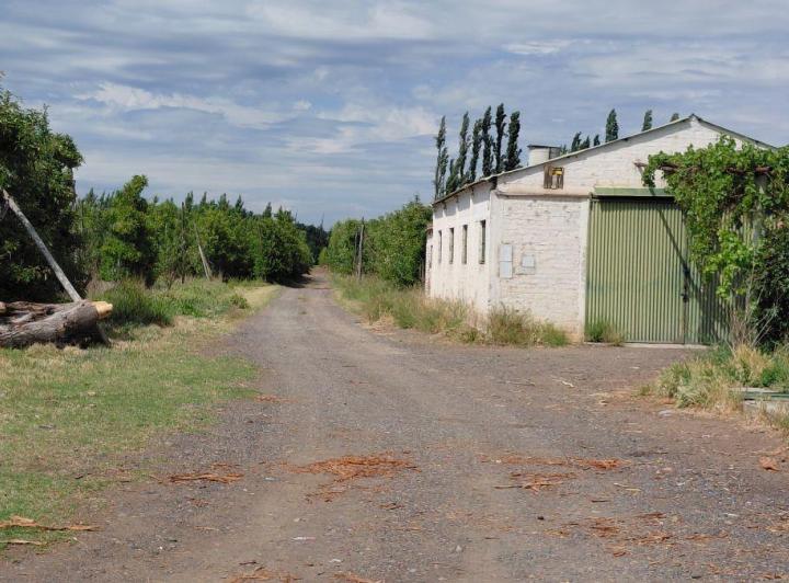Campo · 75ha