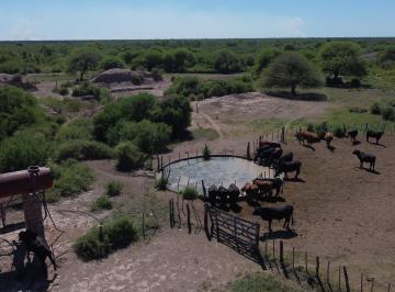 Campo · 25000000ha · 4 Dormitorios · Campo en Villa Minetti Santa Fe