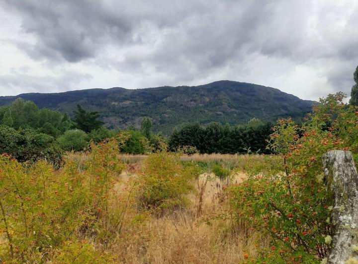 Terreno · 2142m²