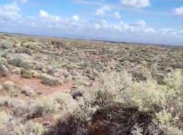 Campo · 1500000m² · Campo en Añelo 150 Ha