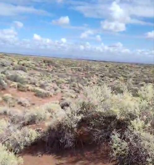 Campo · 1500000m²