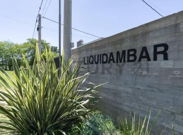 Oficina comercial · 280m² · Lote en Venta 10 X 28 Barrio Liquidambar, La Plata