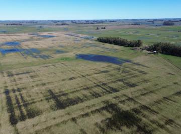 Campo · 10250000m² · Campo de 1025 Ha Mixto