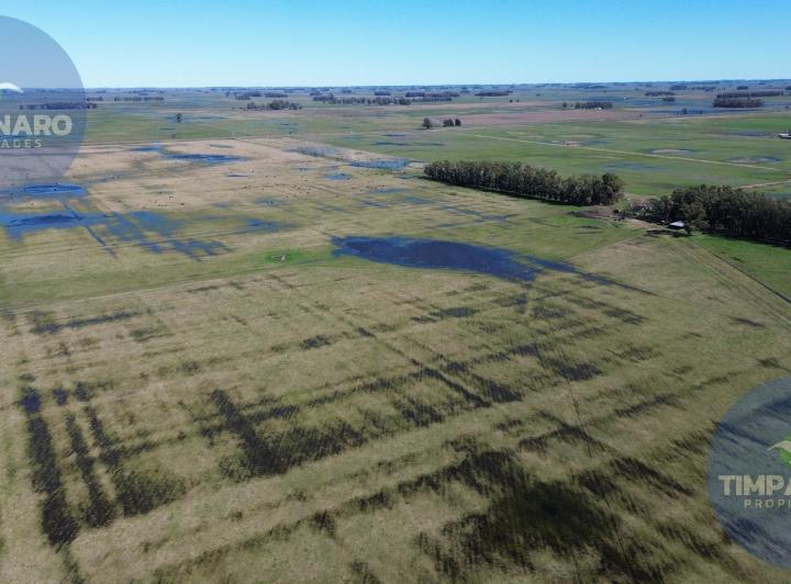 Campo · 1025ha