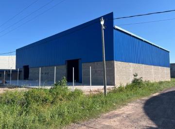 Bodega-Galpón · 1200m² · Galpon a Estrenar en Alquiler