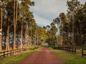 Terreno , Uruguay · Venta Terreno en El Club de Campo El Faro, Carmelo