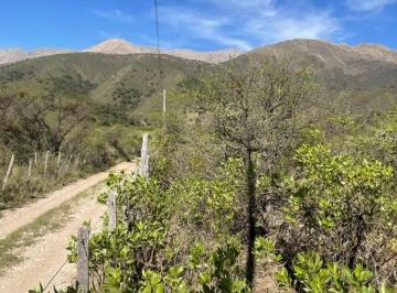 Terreno · 20000m² · Venta Campo 2 Ha - en Los Hornillos Traslasierrascon Vistas Panorámicas