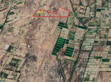Campo , Lavalle · Finca de 57,5 Ha Sobre Ruta 24 y El Vergel