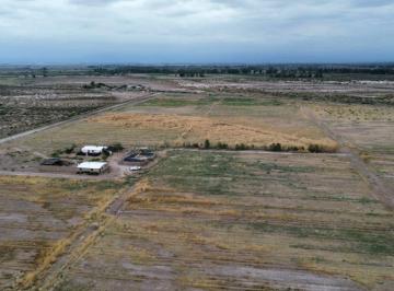 Campo , La Palmera · Finca de 57,5 Ha Sobre Ruta 24 y El Vergel