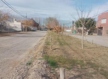 Terreno , Plottier · Terreno de 360 m² / Plottier, B° Don Lukacs