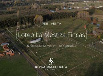 Terreno · 2000m² · Lotes Desde 20000 m² en Mestiza Fincas, Los Cardales