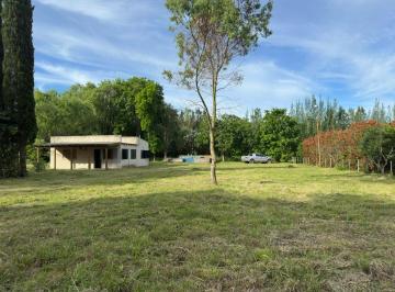 JSP-JSP-4763_2 · Casa en Venta en Gómez, Bransen