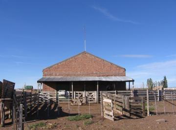 Campo · 230000000ha · Campo en Telsen 23.000 Ha