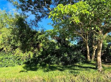 Terreno · 1350m² · El Último Gigante del Este, Terreno Arbolado en Resistencia