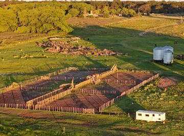 Campo de 2 ambientes, General Juan Madariaga · Campo - General Madariaga