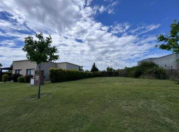 Terreno · 459m² · Venta de Lote Interno - San Eduardo Pilar del Este