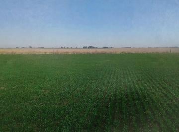 Campo , Coronel Suárez · Campo 19 Hs en Coronel Suarez
