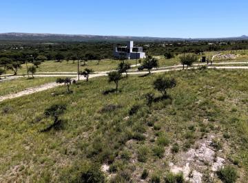 Terreno · 1000m² · Venta Terreno en Arroyo de Los Patos con Vista Al Valle
