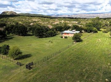 Terreno · 200m² · 5 Ambientes · 1 Cochera · Venta Campo El Pantanillo de 95ha Panaholma - Traslasierra
