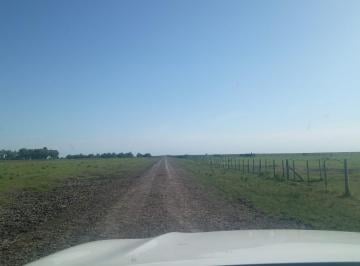 Campo · 5000000m² · Campo en Venta en General Madariaga