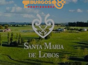 Campo , Lobos · Excelente Venta de Chacra en Lobos, Oportunidad