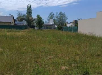 Terreno · 360m² · Venta de Terreno Tierra de Sueños 3 Sector a