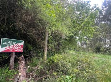 Terreno · 5000m² · Vende Lote Amplio - 5.000 m² - Punta Indio
