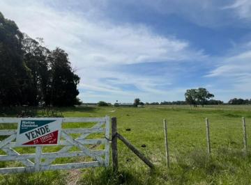 Terreno · 5000m² · Venta Lote Veronica 5000 m² T - 809