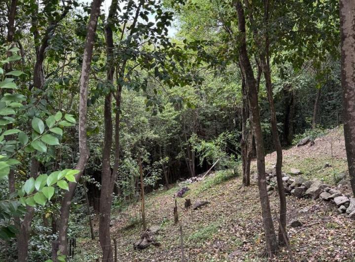 Terreno · 530m²