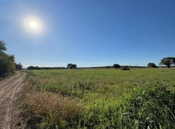 Terreno · 4700m² · Terreno en Venta en Sinsacate 4700 m²