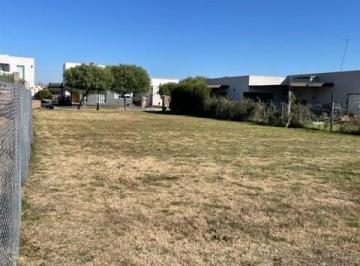 Terreno · 553m² · Terreno Lote en Venta en San Ramiro, Pilar del Este, Pilar